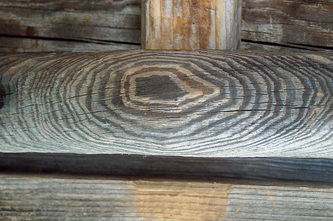 wood, pattern, puit, uks, muster